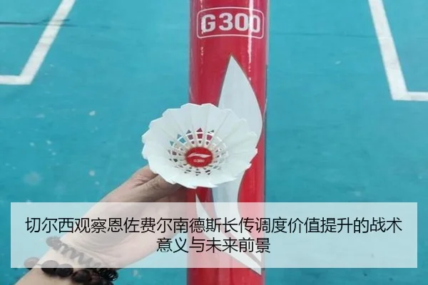 切尔西观察恩佐费尔南德斯长传调度价值提升的战术意义与未来前景（kaiyun）